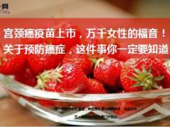 宫颈癌疫苗上市万千女性的福音15页.ppt