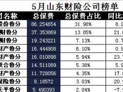 山东省2017年前5月财险公司总保费排行榜.xls