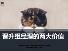 国寿基本法晋升组经理的两大价值16页.ppt