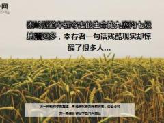 京昆高速公路夺走的生命比九寨沟七级地震还多12页.ppt