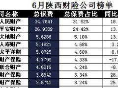 陕西省2017年前6月财险公司总保费排行榜.xls