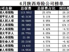 陕西省2017年前6月寿险公司总保费排行榜.xls