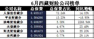 西藏2017年前6月财险公司总保费排行榜.xls