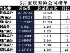 重庆2017年前5月寿险公司总保费排行榜.xls