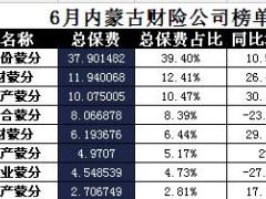 内蒙古2017年前6月财险公司总保费排行榜.xls