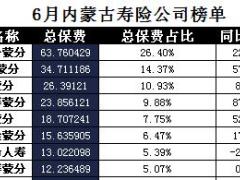 内蒙古2017年前6月寿险公司总保费排行榜.xls