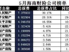 海南省2017年前5月财险公司总保费排行榜.xls