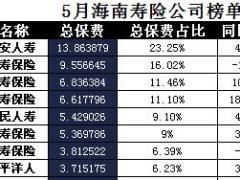 海南省2017年前5月寿险公司总保费排行榜.xls