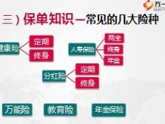 保单检视系列早会课件知识篇18页.ppt