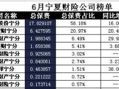 宁夏2017年前6月财险公司总保费排行榜.xls