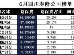 四川省2017年前6月寿险公司总保费排行榜.xls