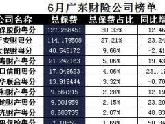 广东省2017年前6月财险公司总保费排行榜.xls