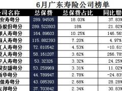 广东省2017年前6月寿险公司总保费排行榜.xls