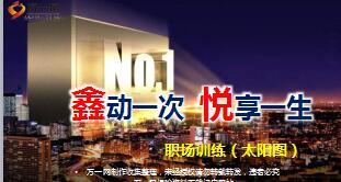 太阳图讲解国寿鑫悦一生19页.ppt