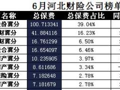 河北省2017年前6月财险公司总保费排行榜.xls