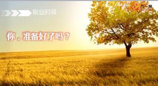 金色树叶早会流程模板10页.ppt