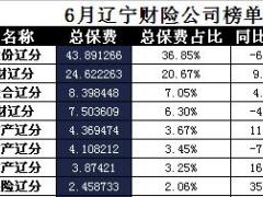 辽宁省2017年前6月财险公司总保费排行榜.xls