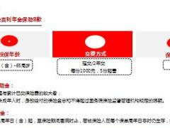 阳光人寿金吉利年金保险B款背景形态优势卖点投保示例及规则10页.ppt