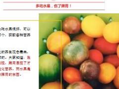 每日健康你以为是在养生其实你在养病17页.ppt