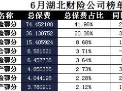 湖北省2017年前6月财险公司总保费排行榜.xls