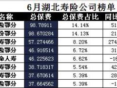 湖北省2017年前6月寿险公司总保费排行榜.xls