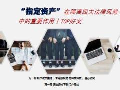 指定资产在隔离四大法律风险中的重要作用14页.ppt