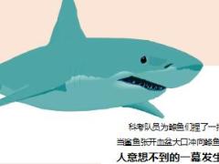 每日正能量无敌的鲦鱼10页.ppt
