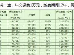 国寿美满一生升级利益对比1页.xls