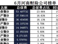 河南省2017年前6月财险公司总保费排行榜.xls