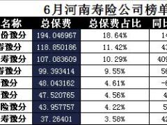河南省2017年前6月寿险公司总保费排行榜.xls