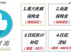 太平人寿无忧系列产品形态介绍36页.ppt