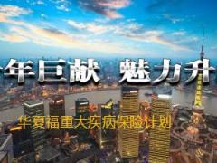 保险进万家主题公益项目主讲片华夏福版20页.ppt