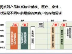 太平无忧系列产品销售经验分享26页.ppt