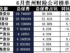 贵州省2017年前6月财险公司总保费排行榜.xls