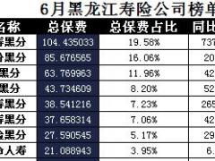 黑龙江省2017年前6月寿险公司总保费排行榜.xls