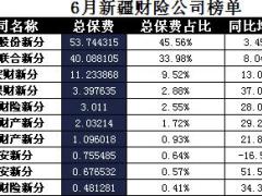 新疆2017年前6月财险公司总保费排行榜.xls
