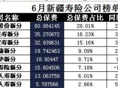 新疆2017年前6月寿险公司总保费排行榜.xls