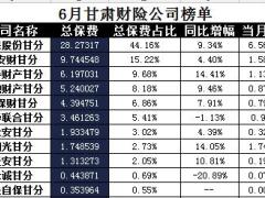 甘肃省2017年前6月财险公司总保费排行榜.xls
