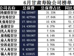 甘肃省2017年前6月寿险公司总保费排行榜.xls