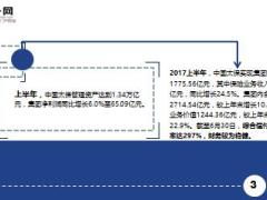 中国太保2017半年报寿险新业务价值增速创新高17页.ppt