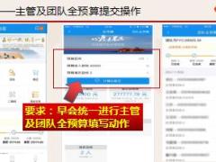 国寿E创客之直辖组管理要求及操作全预算19页.ppt