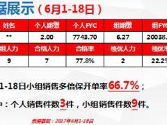 新华保险多倍保小组销售推动分享12页.ppt