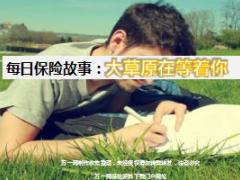 每日保险故事大草原在等着你6页.ppt