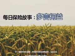 每日保险故事多言何益6页.ppt