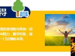 每日保险故事老汉粘蝉6页.ppt