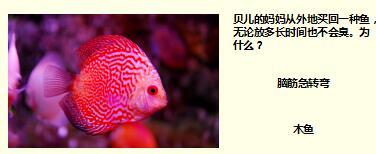 每日快乐早会17年9月1日使用15页.ppt