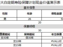 弘康大白定期寿险保障计划书利益演示表2页.xls