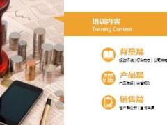 新华金彩一生终身年金保险计划培训课程48页.ppt