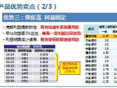 新华惠赢宝两全保险产品解析18页.ppt