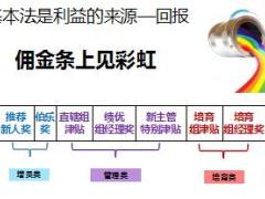 收入分析及制度经营分析模板国寿版47页.ppt